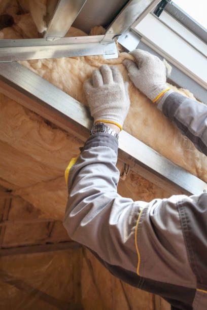 Best DIY Insulation Kits and Guidance in Gra Forks, ND