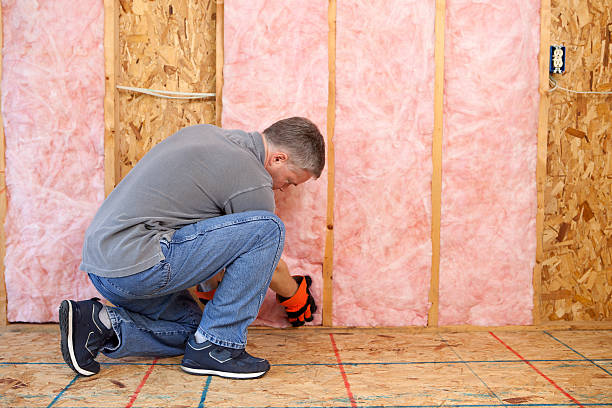 Best Geographic-Specific Insulation Services in Gra Forks, ND