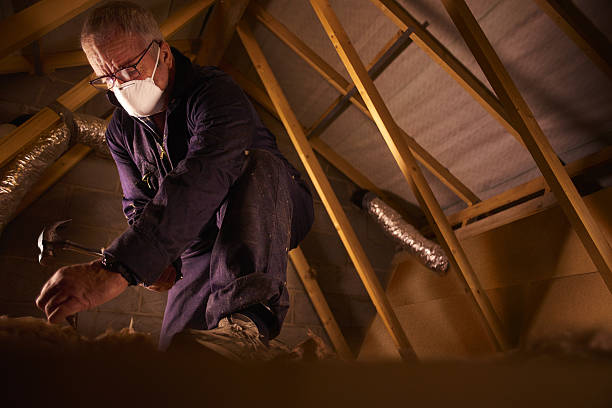 Best Eco-Friendly Insulation in Gra Forks, ND